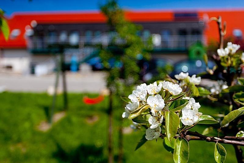 Apartmán Katarzynka Boleścin Exteriér fotografie